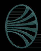 Daewoo 3 - Embroidery Design